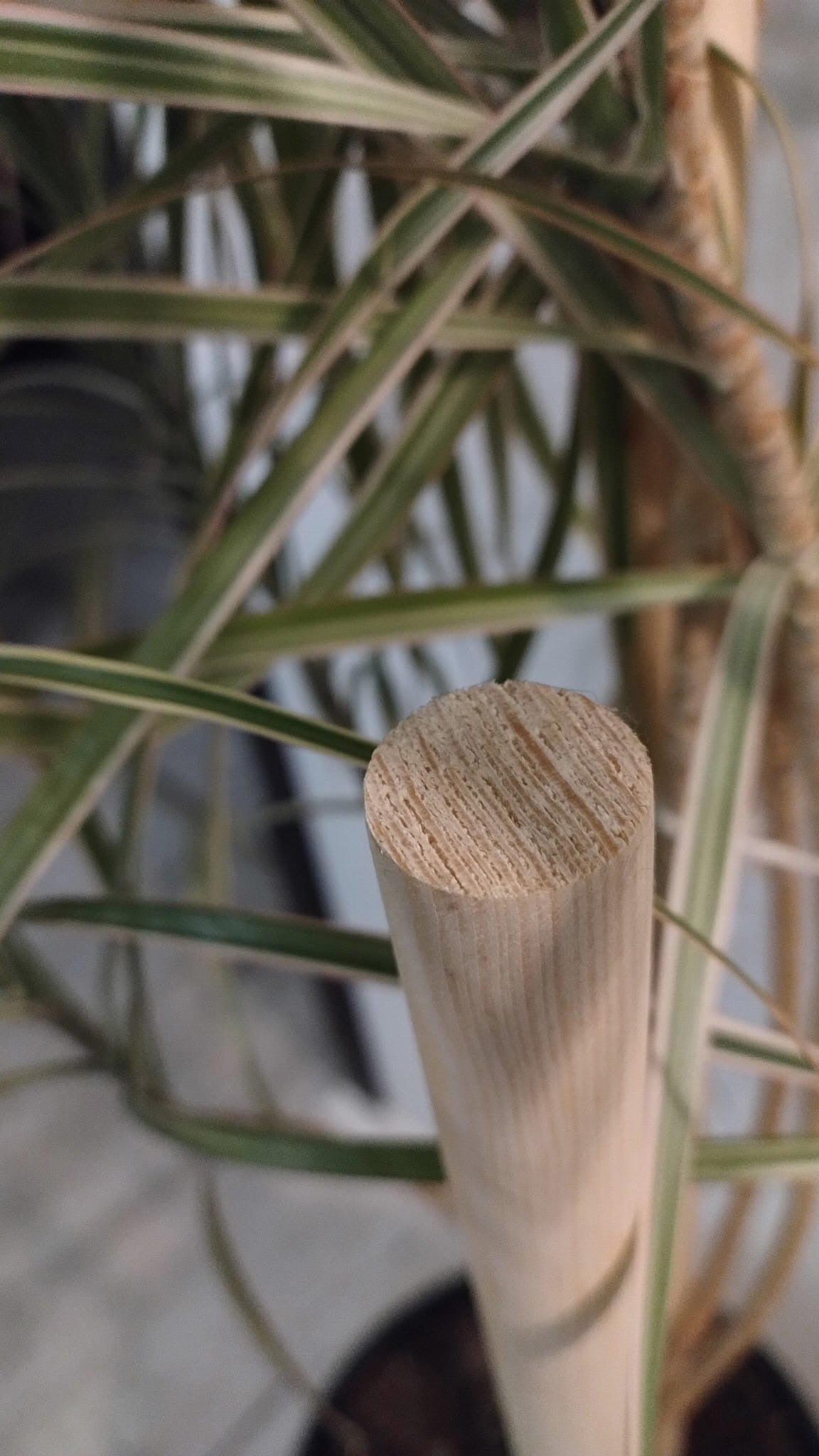 Produktbild von Ranch Boys