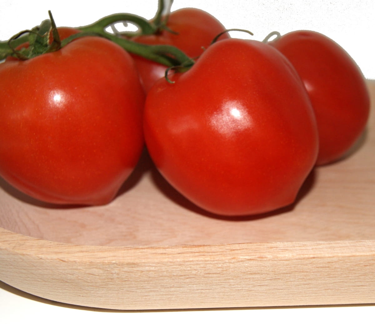 Wooden Plate Set of 6 pcs 23 cm - Tray | Round Wooden Plates | Wooden Tableware | Ecological Kitchen Utensils