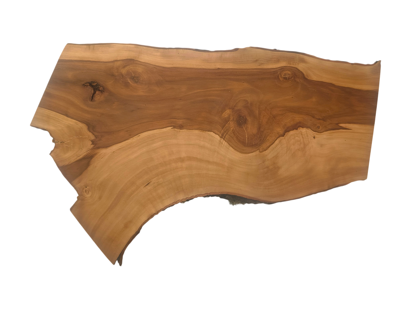 Plank van appelhout – uniek, geolied, met natuurlijke schorsrand