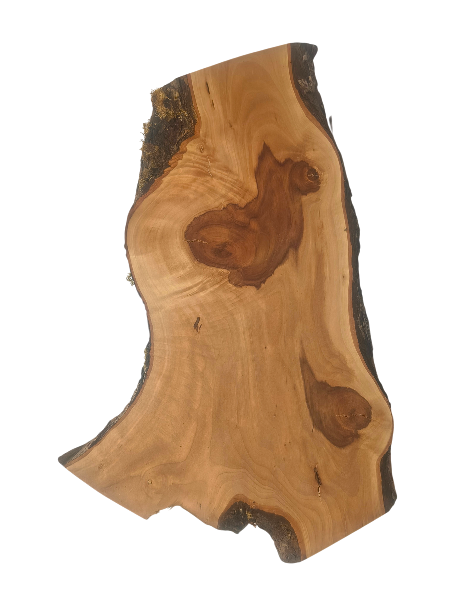 Plank van appelhout – uniek, geolied, met natuurlijke schorsrand