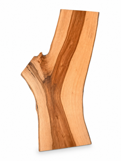 Plank van appelhout – uniek, geolied, met natuurlijke schorsrand