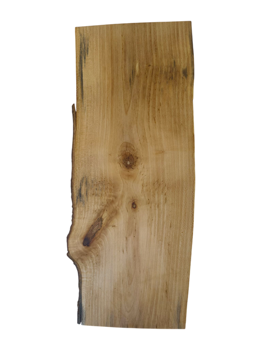 Deska z drewna jaworowego – unikatowa, olejowana, okorowana